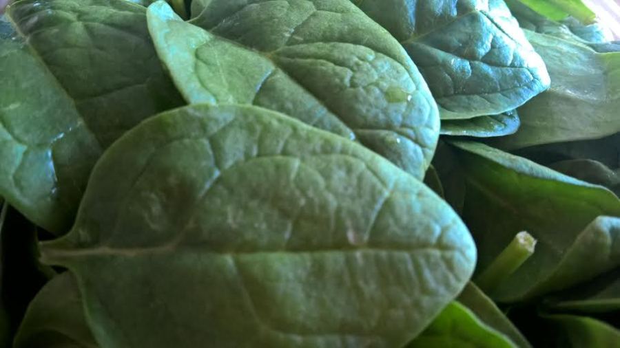 spinach